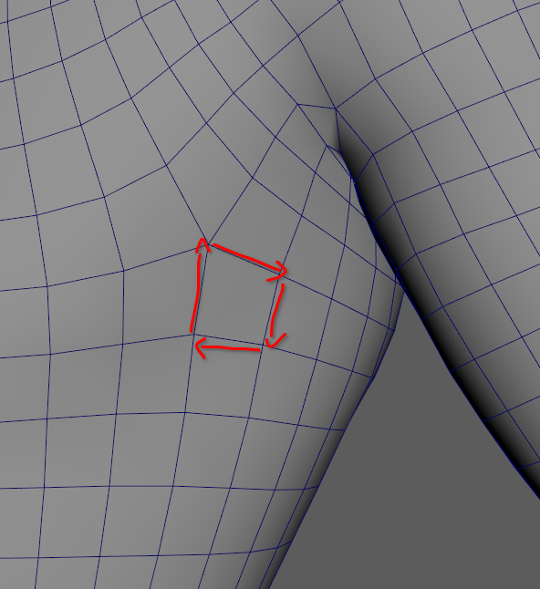 A representation of edge vectors on a mesh